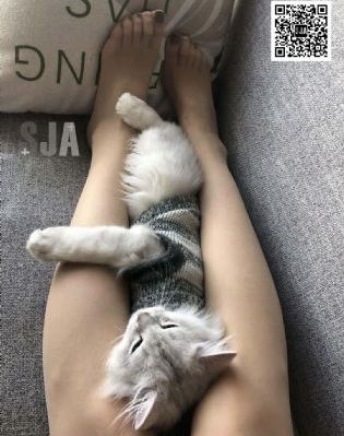 欧美伦理在线资源_BD韩语免费观看韩国