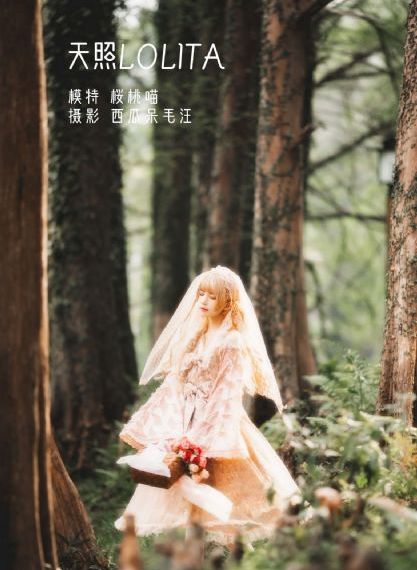 免费电影欧美动作片_720在线观看电视